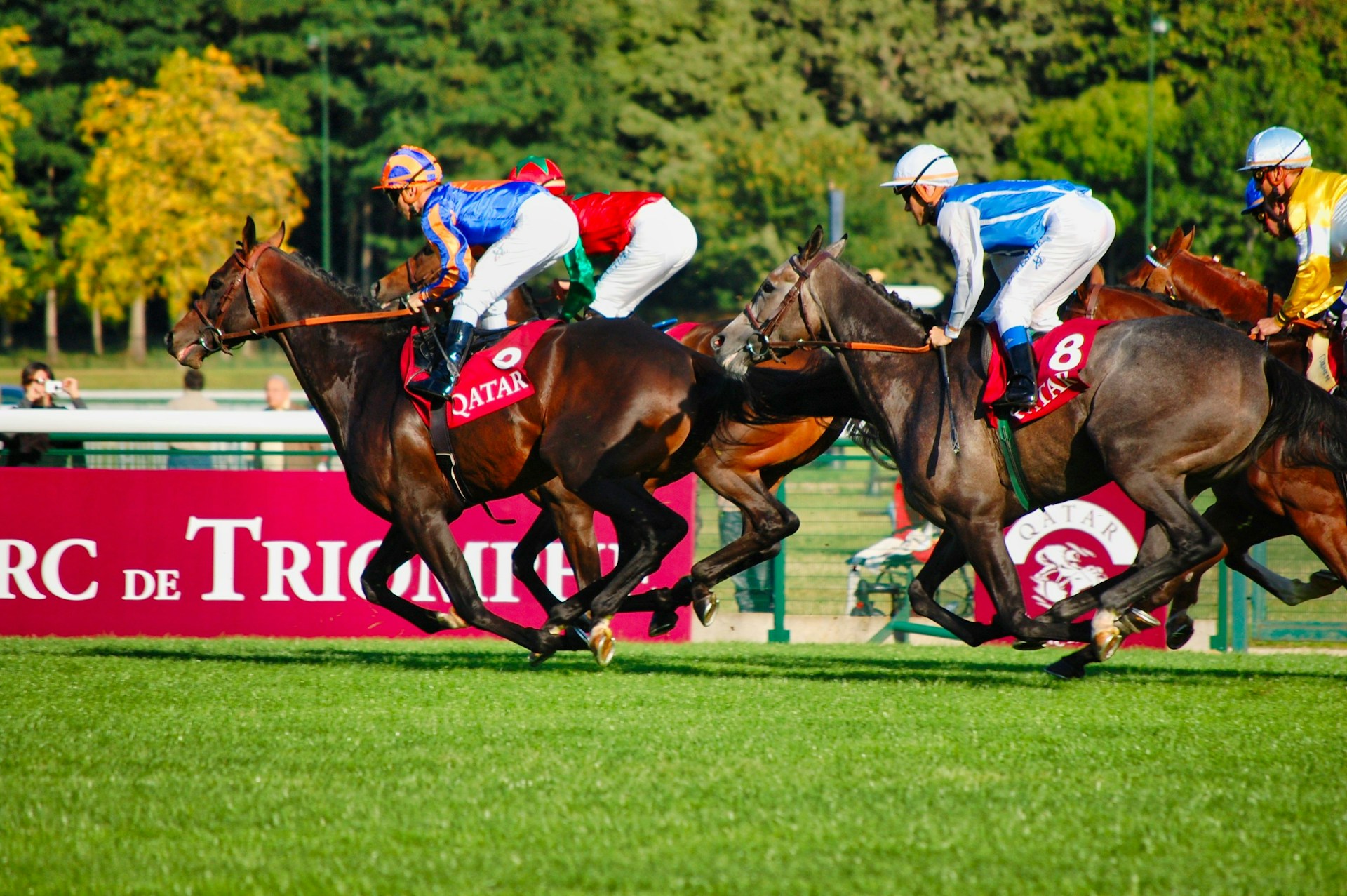 3歳馬チャンピオンのシーズン開幕！ケンタッキーダービーへの道が本格化